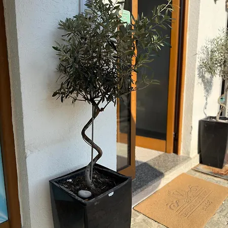 Vironas Hotel
